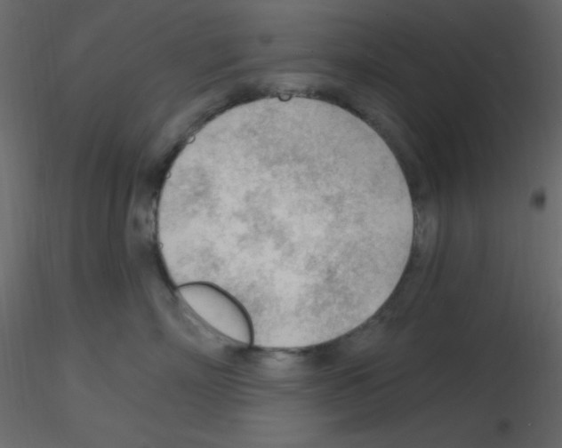 X0000115770718200912241750