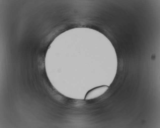 X0000115770719200912241750