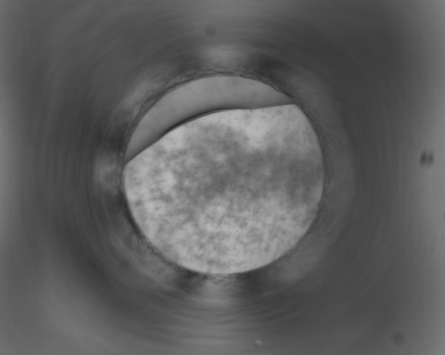 X0000115770720200912241750