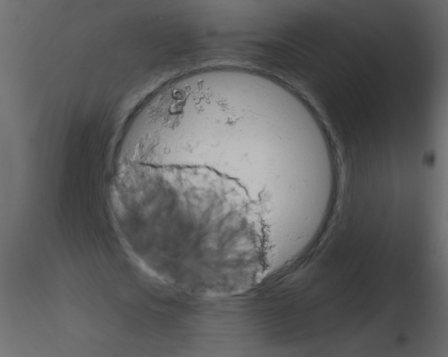 X0000115770721200912241749