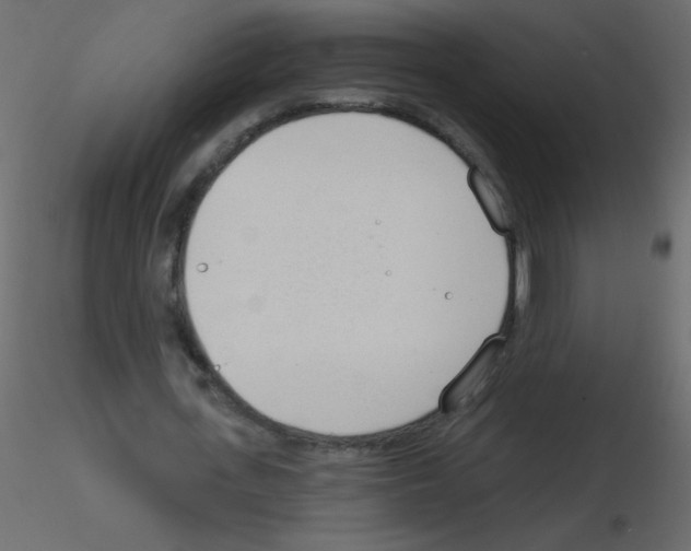 X0000115770723200912241749