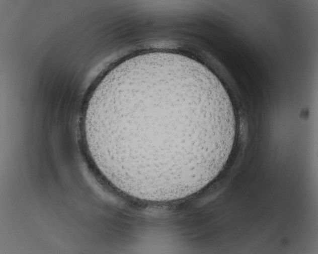 X0000115770725200912241749