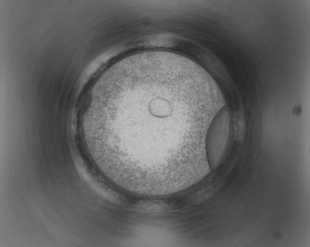X0000115770726200912241749
