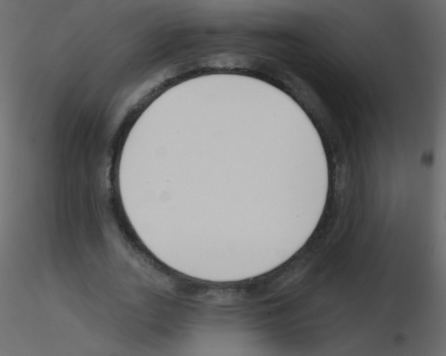 X0000115770727200912241749