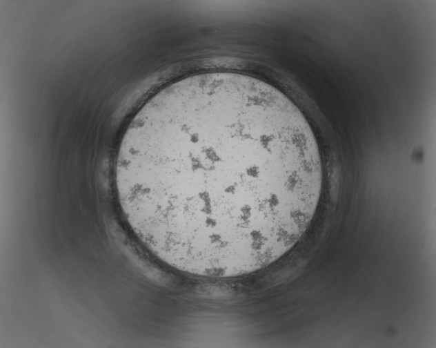 X0000115770729200912241749