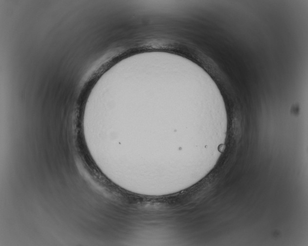 X0000115770730200912241749