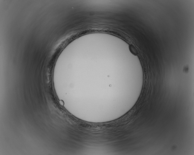 X0000115770731200912241749