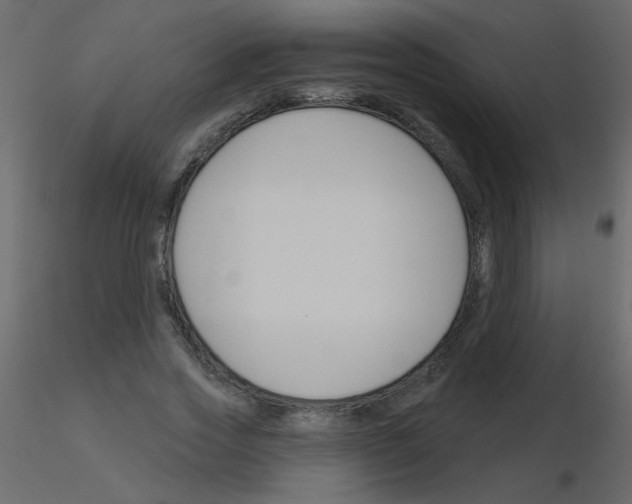 X0000115770733200912241749