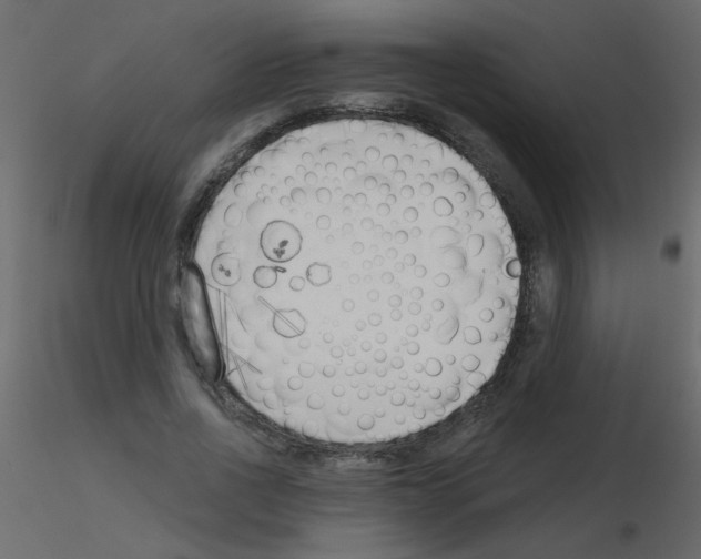 X0000115770734200912241749