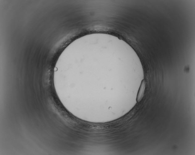X0000115770735200912241749