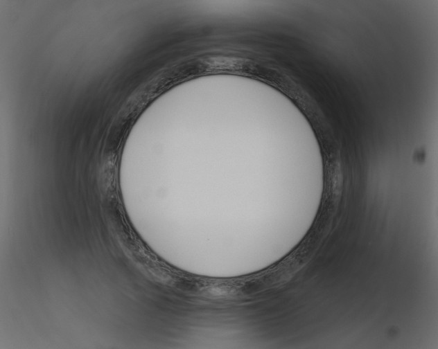 X0000115770737200912241749