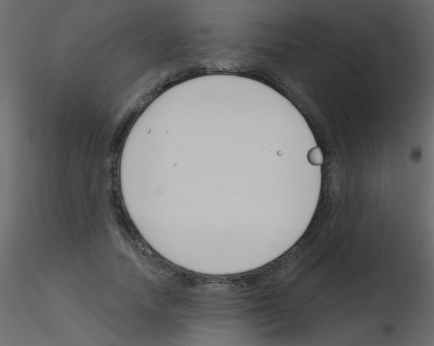 X0000115770738200912241749