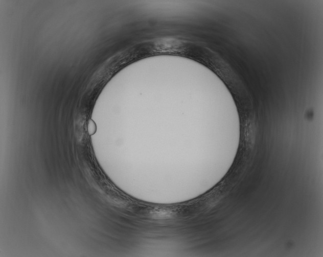X0000115770741200912241749
