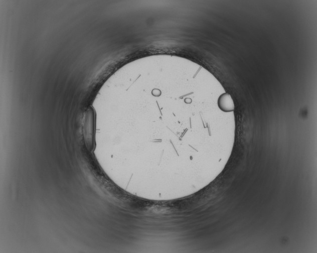 X0000115770742200912241749