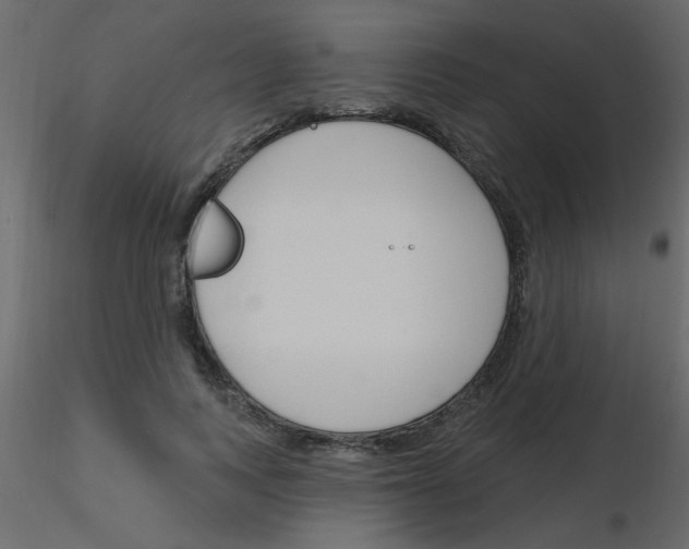 X0000115770743200912241749