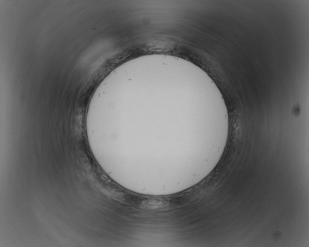 X0000115770745200912241749