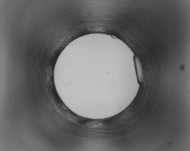 X0000115770747200912241749