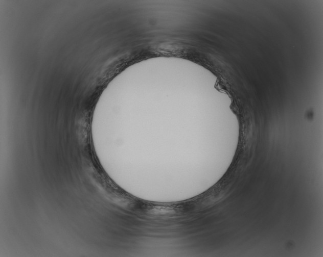 X0000115770749200912241749