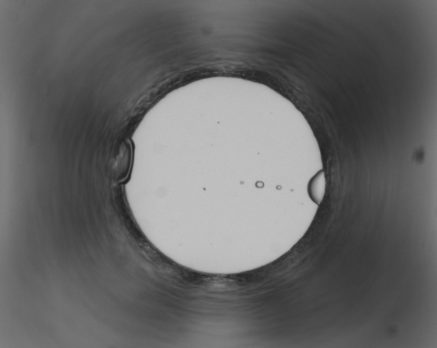 X0000115770750200912241749