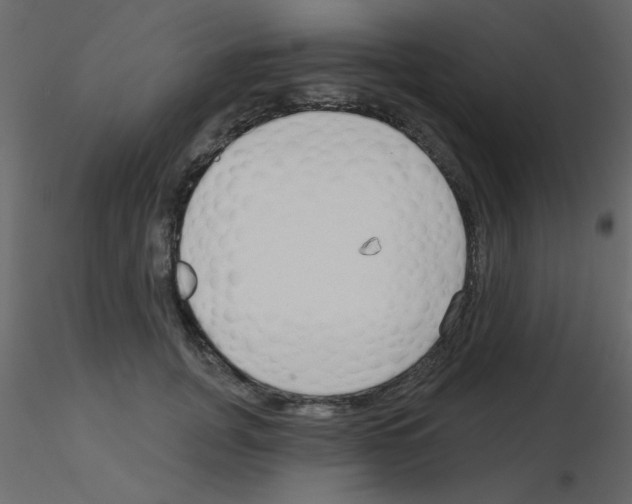 X0000115770751200912241749