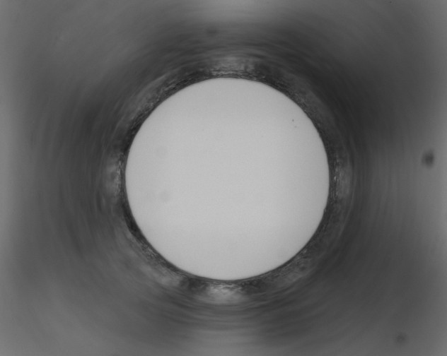 X0000115770753200912241749