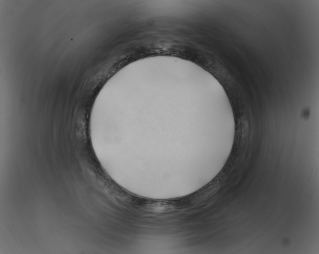 X0000115770754200912241749