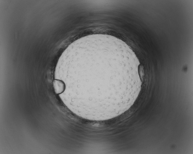 X0000115770755200912241749