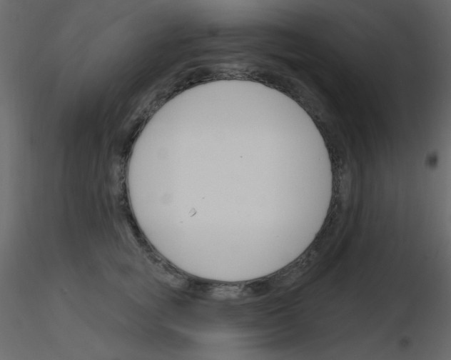 X0000115770757200912241749