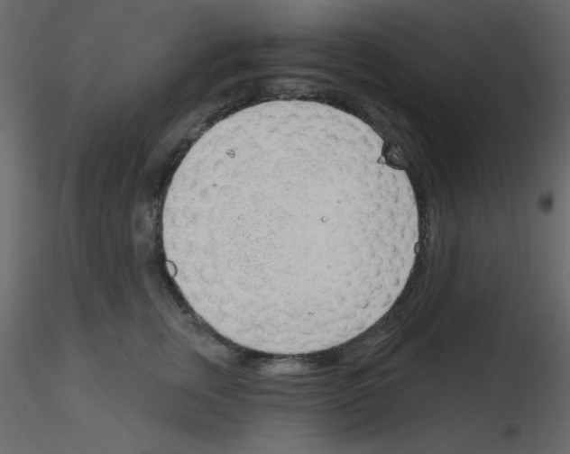 X0000115770759200912241749
