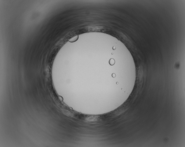 X0000115770761200912241749