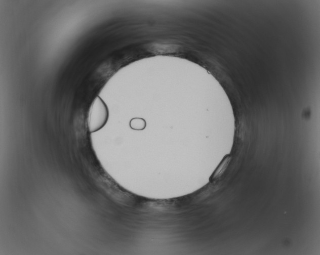 X0000115770763200912241750