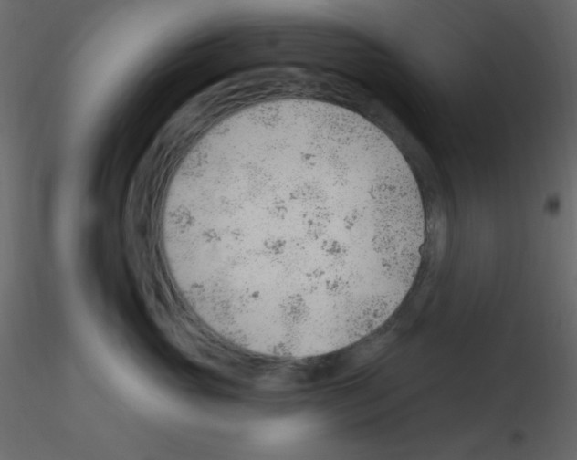 X0000115770765200912241750