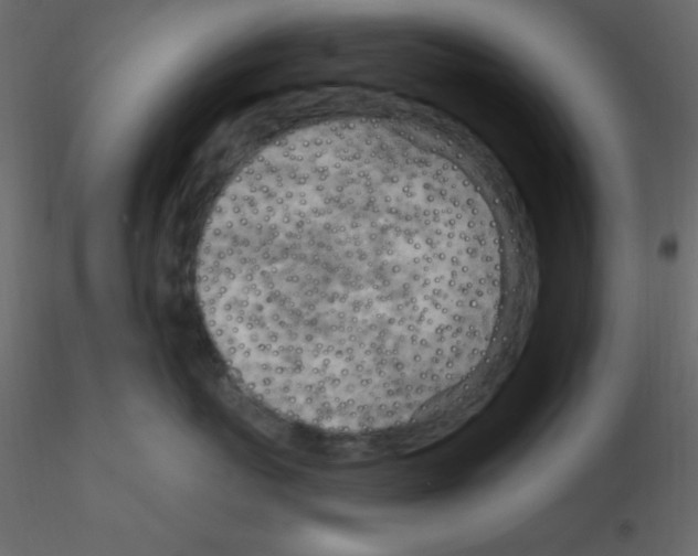 X0000115770767200912241750