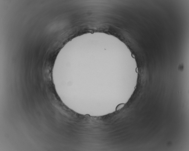 X0000115770770200912241749