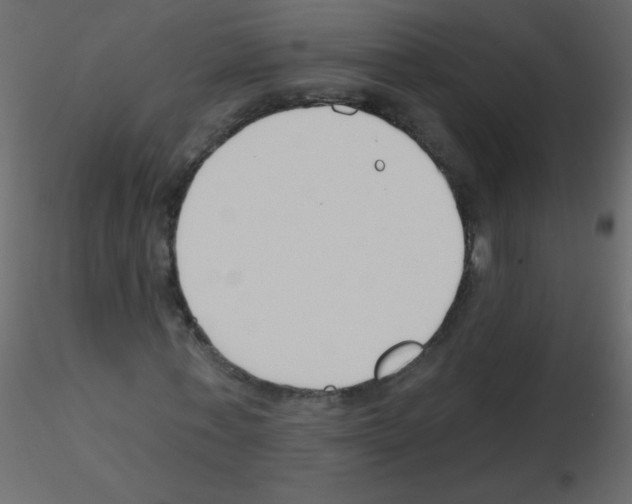 X0000115770771200912241749