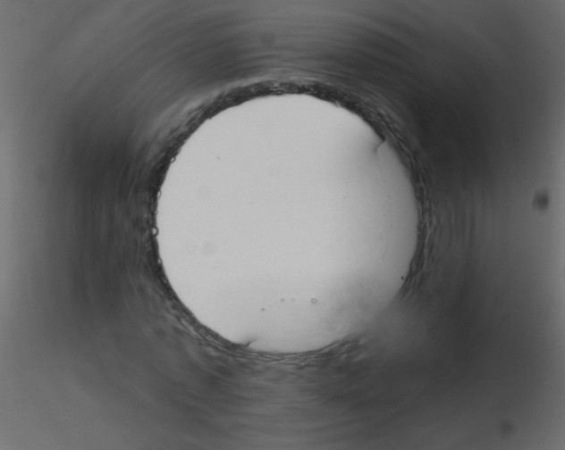 X0000115770773200912241749