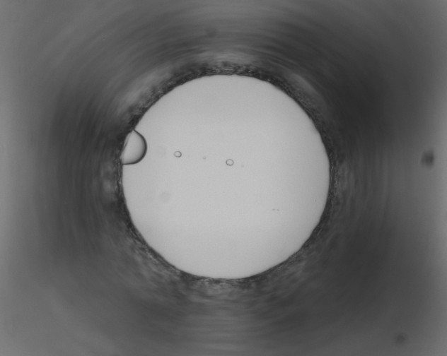 X0000115770774200912241749