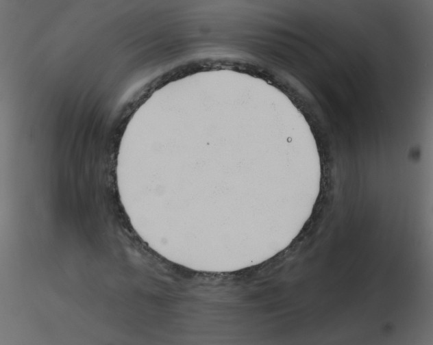 X0000115770775200912241749