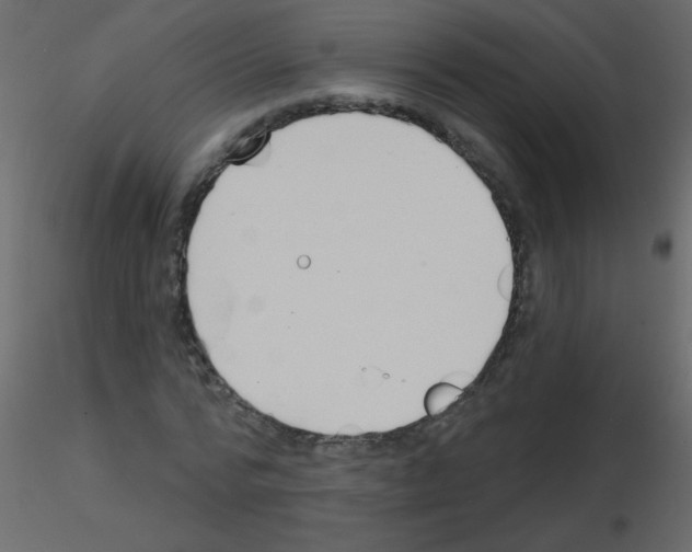 X0000115770776200912241749