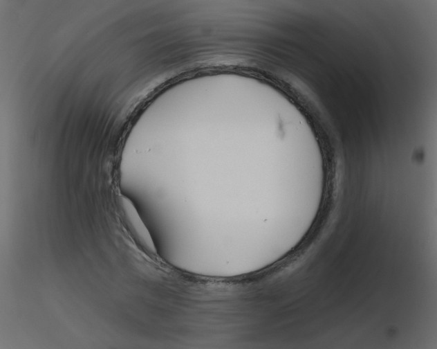 X0000115770777200912241749