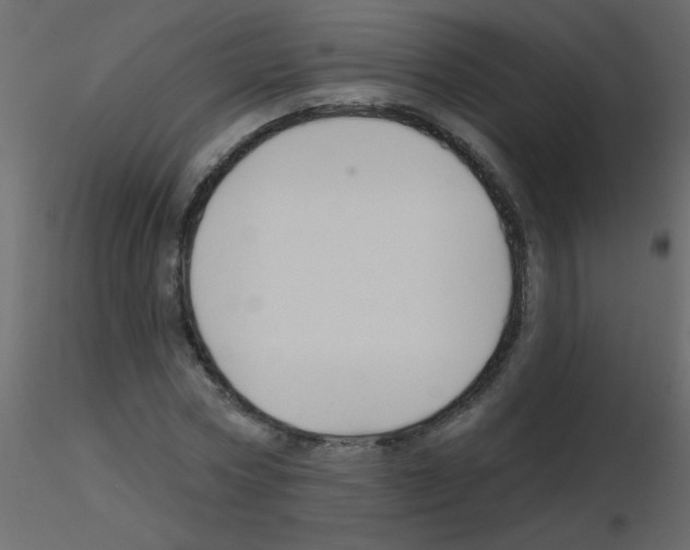 X0000115770778200912241749