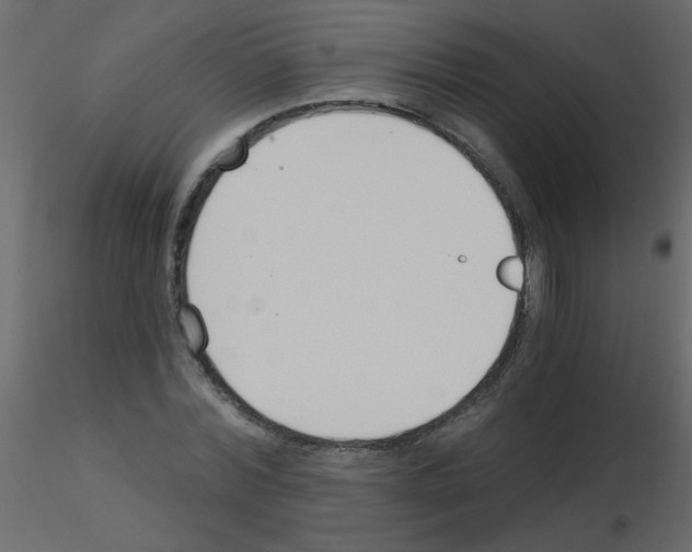 X0000115770780200912241749