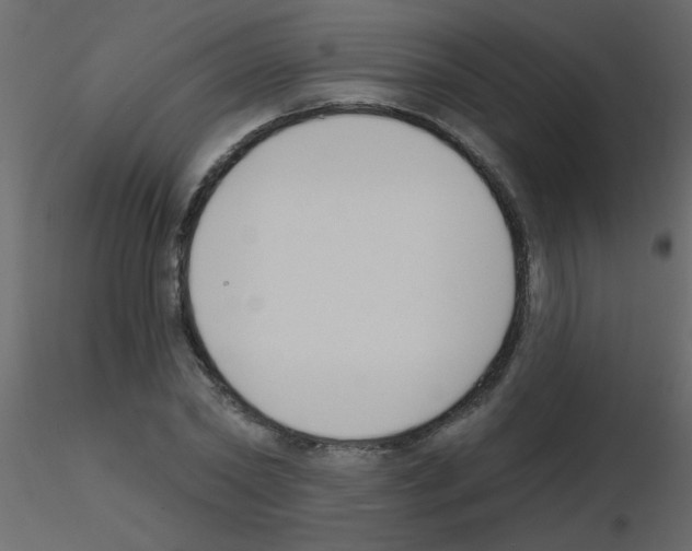 X0000115770782200912241749
