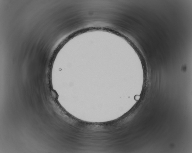 X0000115770783200912241749