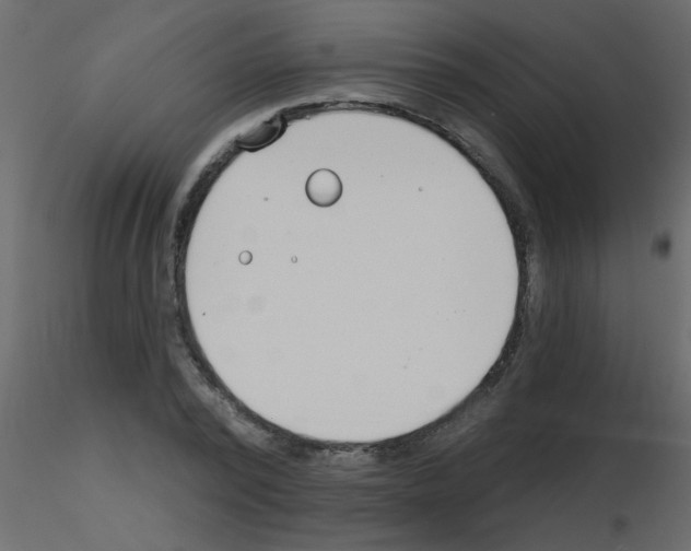 X0000115770784200912241749