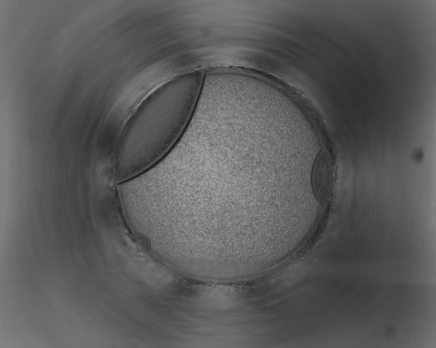 X0000115770785200912241749