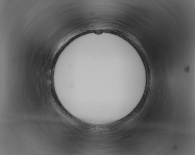 X0000115770786200912241749