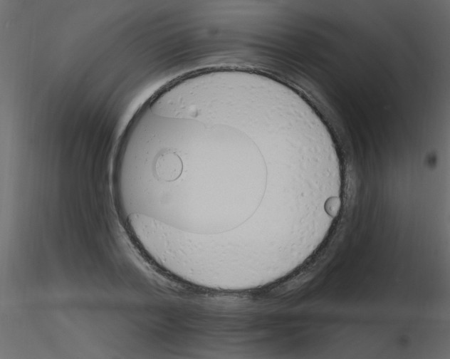 X0000115770788200912241749