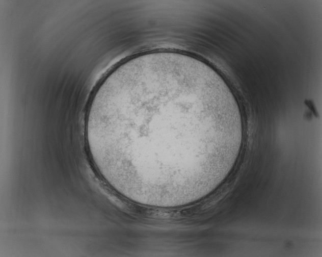 X0000115770790200912241749