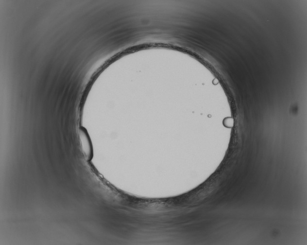 X0000115770791200912241749